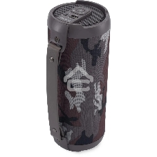 Колонка портативная Digma D-PS1520 камуфляж 16 Вт 1.0 BT 10м 1500mAh