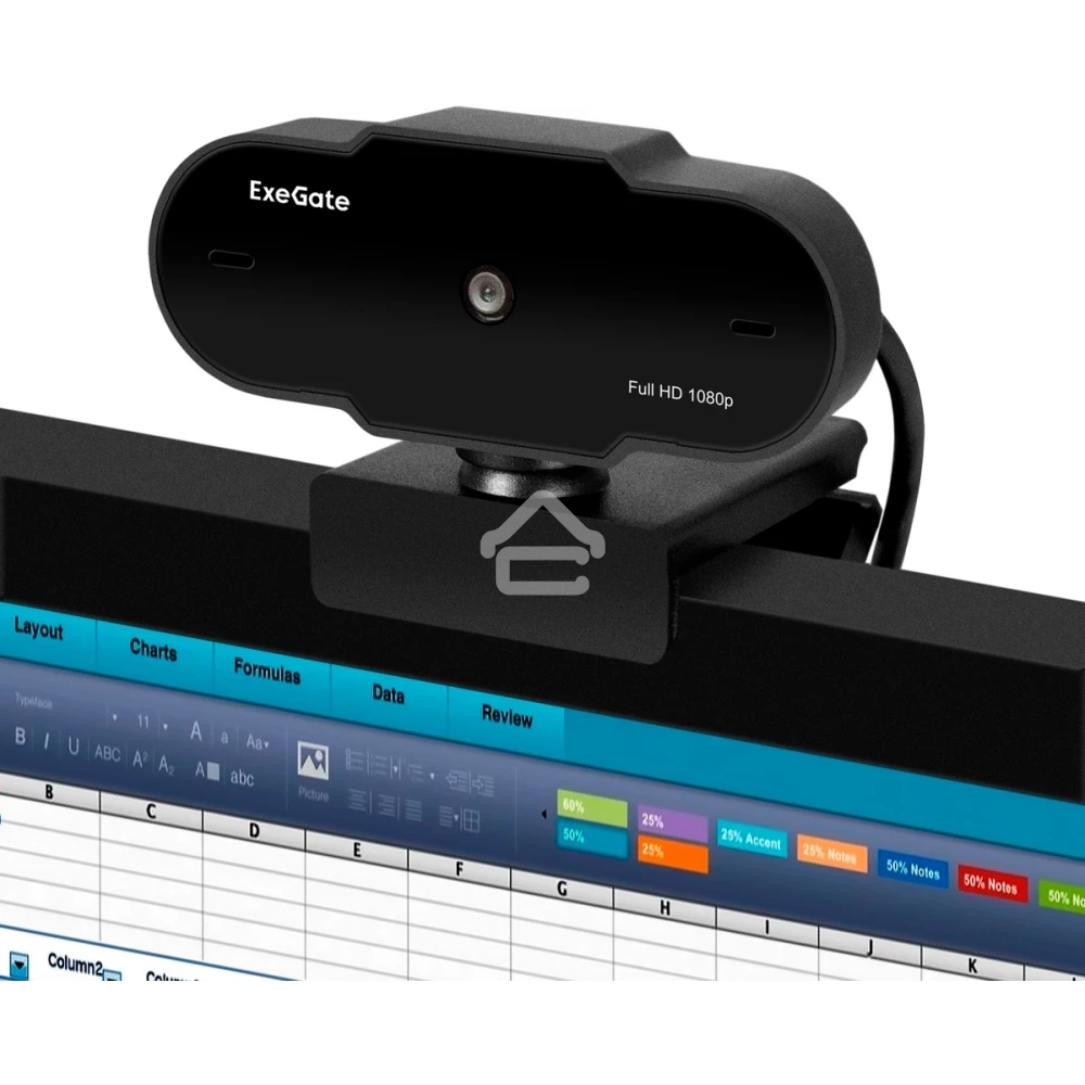 Веб-камера ExeGate GoldenEye C300 Full HD (матрица 1/4