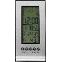Погодная станция Buro H106AB серебристый