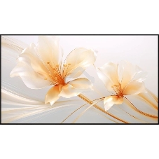 Экран на раме Xgimi 127.6x224.5см 100