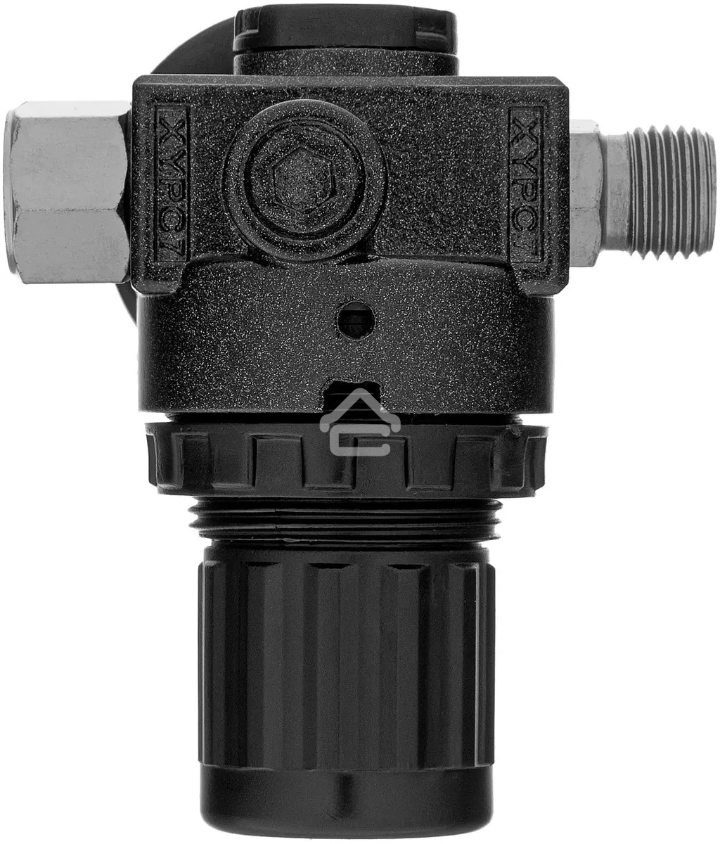 Регулятор давления с манометром Denzel R1500, 12 бар, 1/4