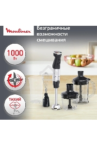 Погружной блендер MOULINEX DD67L810, серебристый/черный
