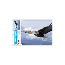 Коврик для мыши Buro BU-M40005 рисунок/орел