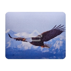 Коврик для мыши Buro BU-M40005 рисунок/орел