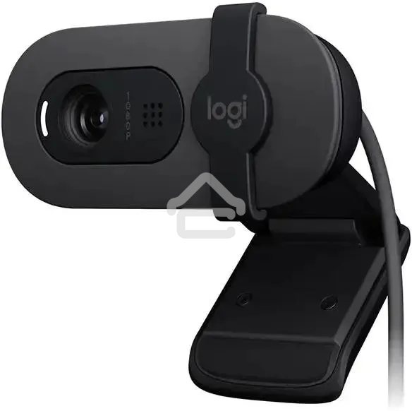 Веб-камера Logitech HD Webcam Brio 100 черный 2Mpix (1920x1080) USB-A с микрофоном (960-001587)