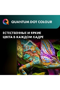 Телевизор Hisense 100