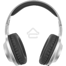 Наушники Panasonic RB-HX220BEES серебристый Полноразмерные Bluetooth наушники с усиленным басом