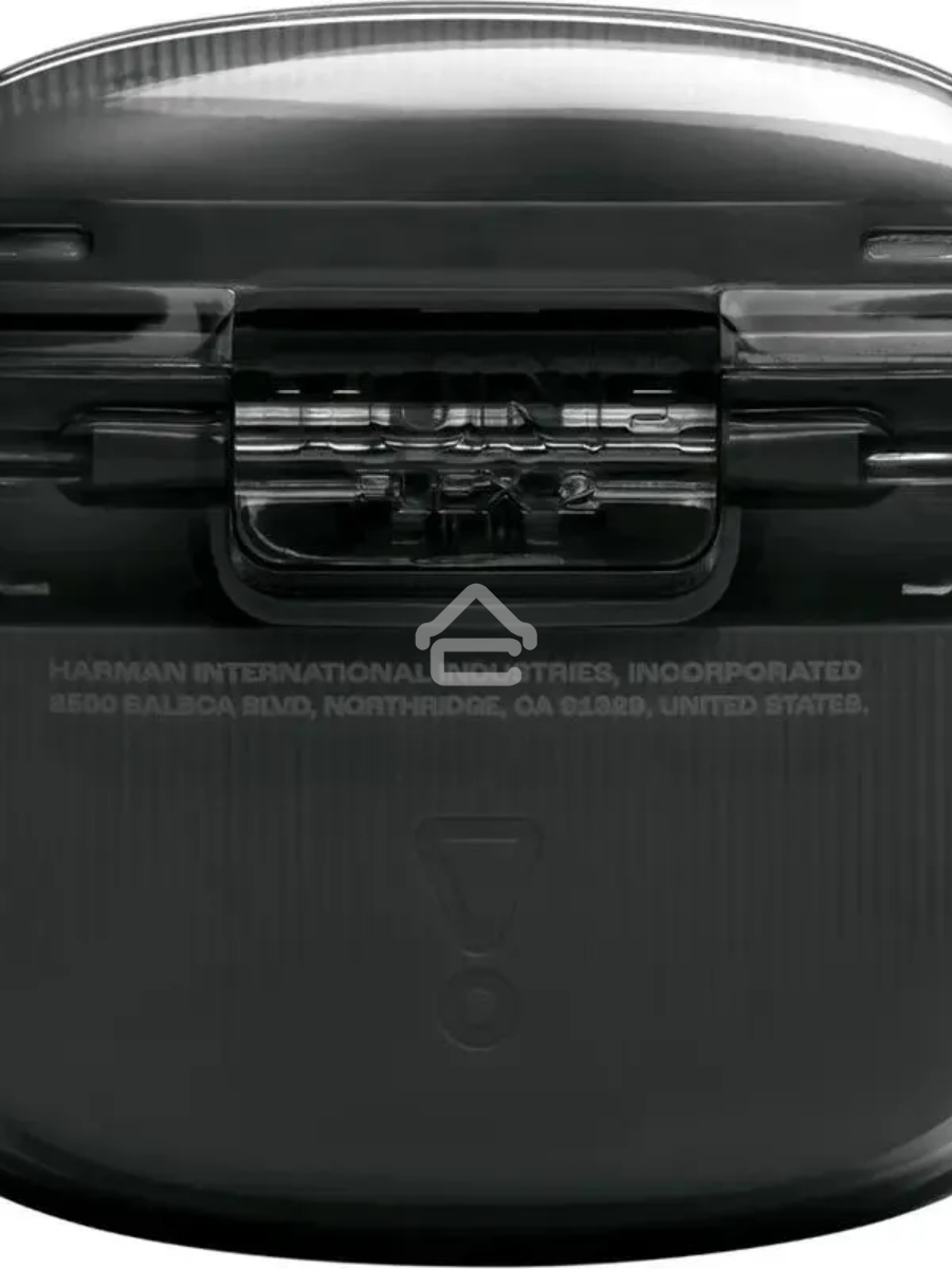 Наушники JBL Tune Flex 2 призрачно-черный
