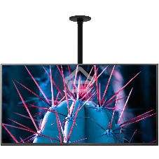 Кронштейн для телевизора Cactus CS-CP07 черный 23