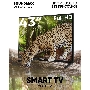 Телевизор  Soundmax 43