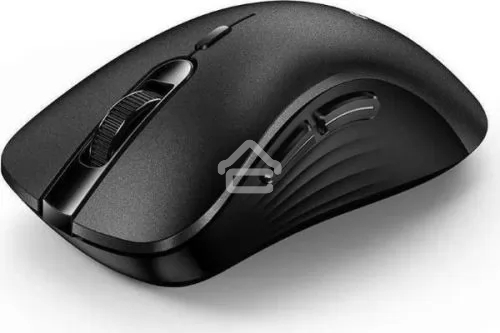 Мышь беспроводная Genius Ergo 8100S черный, 1600 dpi, радиоканал, USB, кнопки - 6