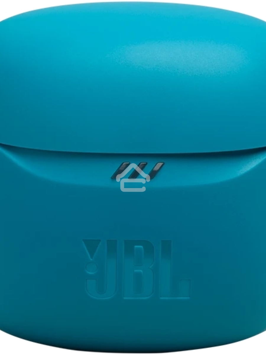 Наушники JBL Tune Flex 2 синий