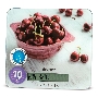 Кухонные весы Vitek VT-8002 W