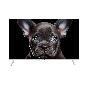 Телевизор TopDevice 32