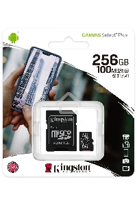 Флеш карта microSDHC 256GB microSDXC Class10 Kingston <SDCS2/256GB> UHS-I Canvas Select up to 100MB/s с адапт.