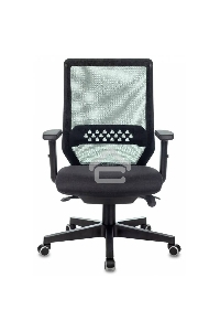Кресло руководителя Бюрократ EXPERT TW-01 черный 38-418, сетка/ткань, с подголов. крестовина пластик