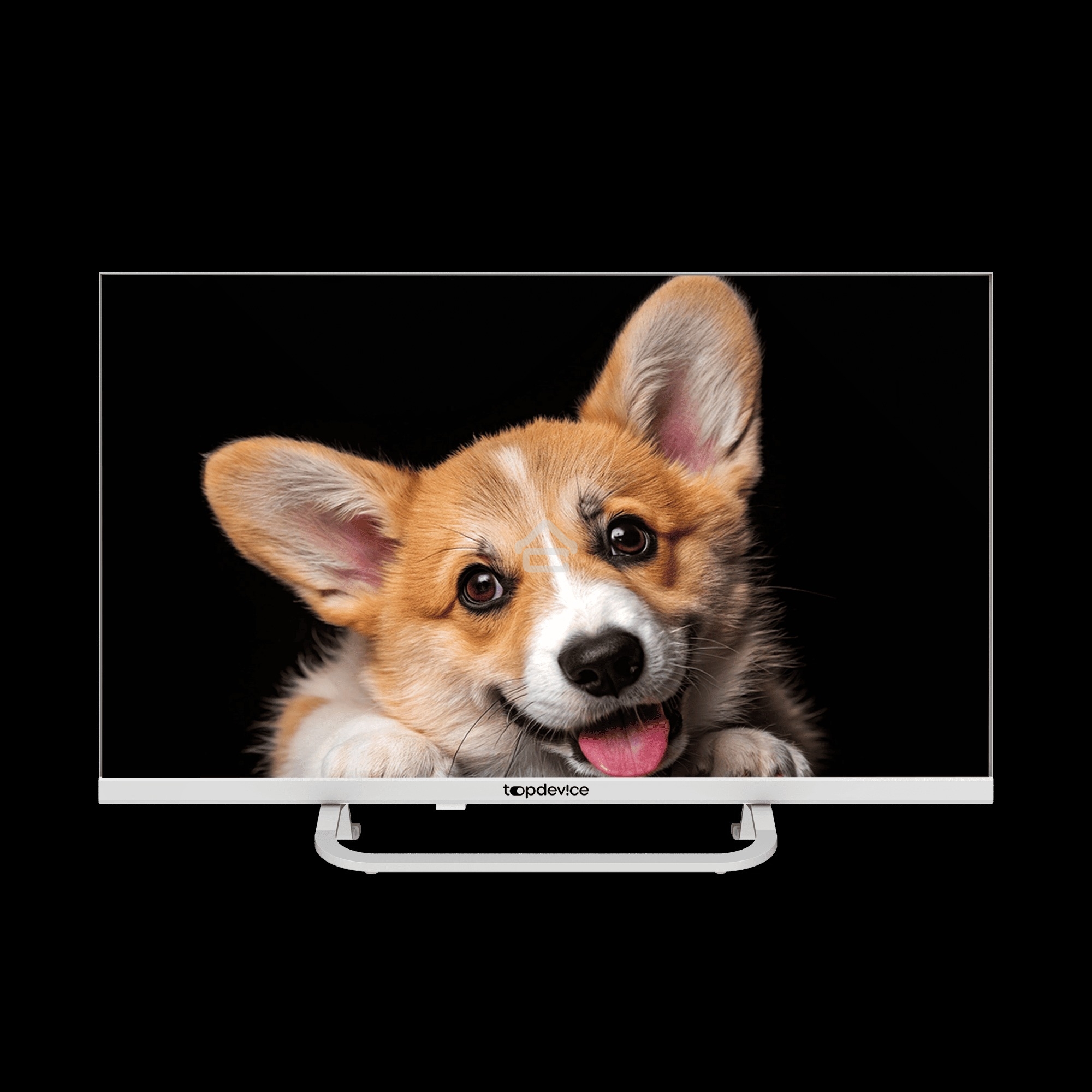Телевизор Topdevice 24