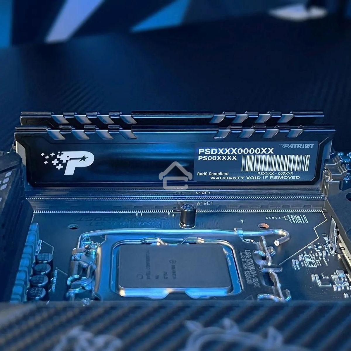 Оперативная память Patriot Signature Premium, DDR5, 8GB (1x8 GB), 5200 MHz, CL42, DIMM, радиатор, черный