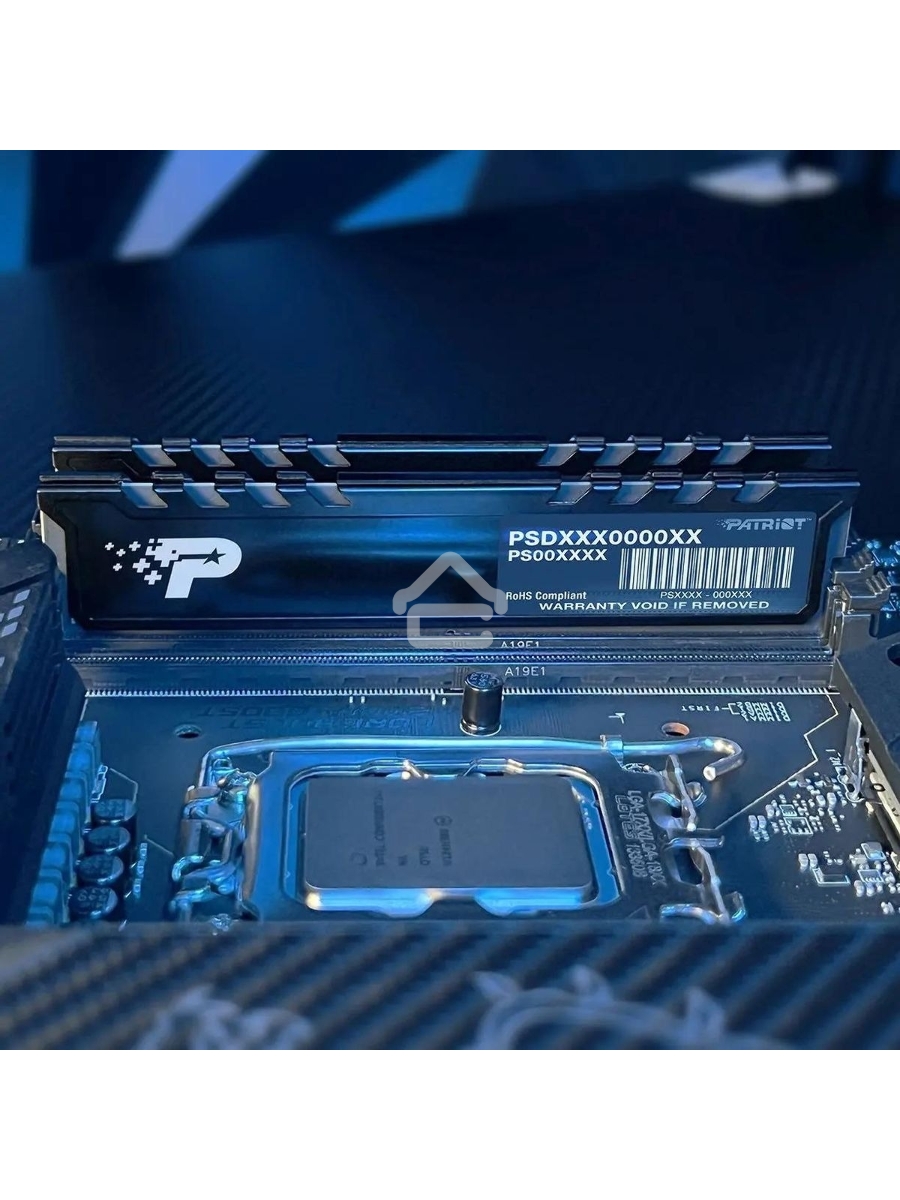 Оперативная память Patriot Signature Premium, DDR5, 8GB (1x8 GB), 5200 MHz, CL42, DIMM, радиатор, черный