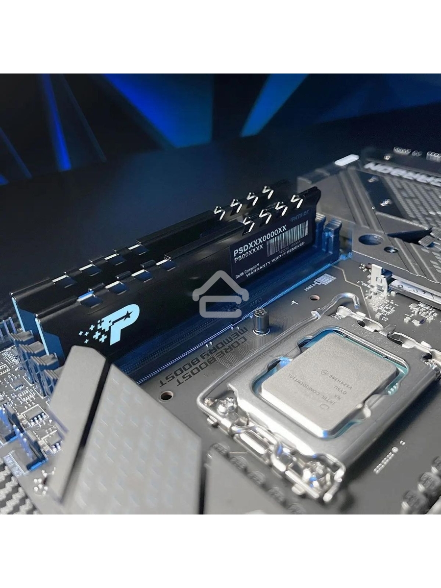 Оперативная память Patriot Signature Premium, DDR5, 8GB (1x8 GB), 5200 MHz, CL42, DIMM, радиатор, черный
