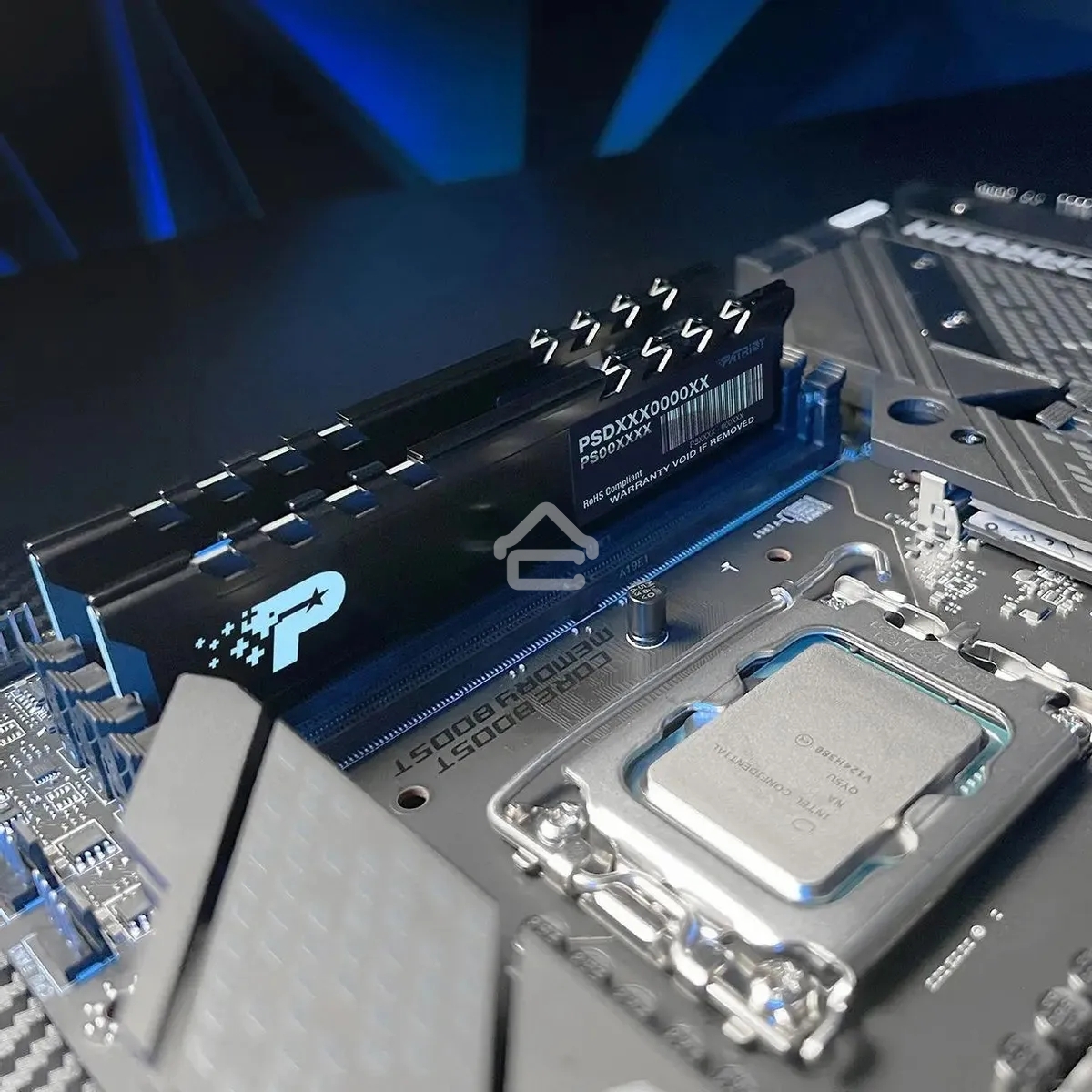 Оперативная память Patriot Signature Premium, DDR5, 16Gb (1x16 GB), 5600 MHz, CL46, DIMM, радиатор, черный