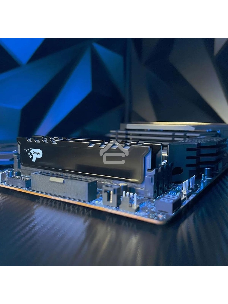 Оперативная память Patriot Signature Premium, DDR5, 8GB (1x8 GB), 5200 MHz, CL42, DIMM, радиатор, черный