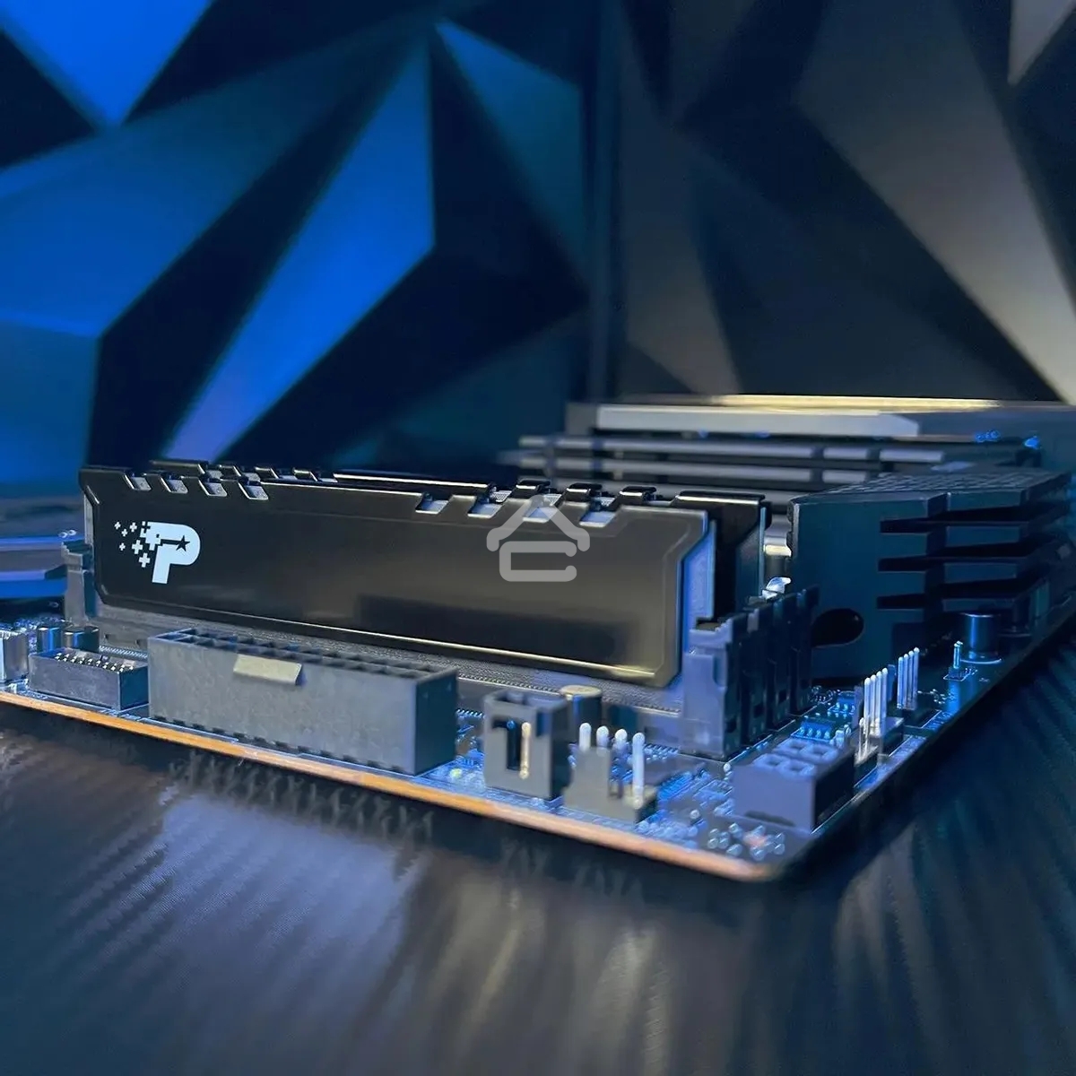 Оперативная память Patriot Signature Premium, DDR5, 16Gb (1x16 GB), 5600 MHz, CL46, DIMM, радиатор, черный