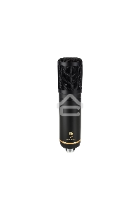 Микрофон конденсаторный [110805A2001] Icon [Apollo LD-1] с большой диафрагмой, 20 Гц 18 кГц, 126 дБ, +48 В