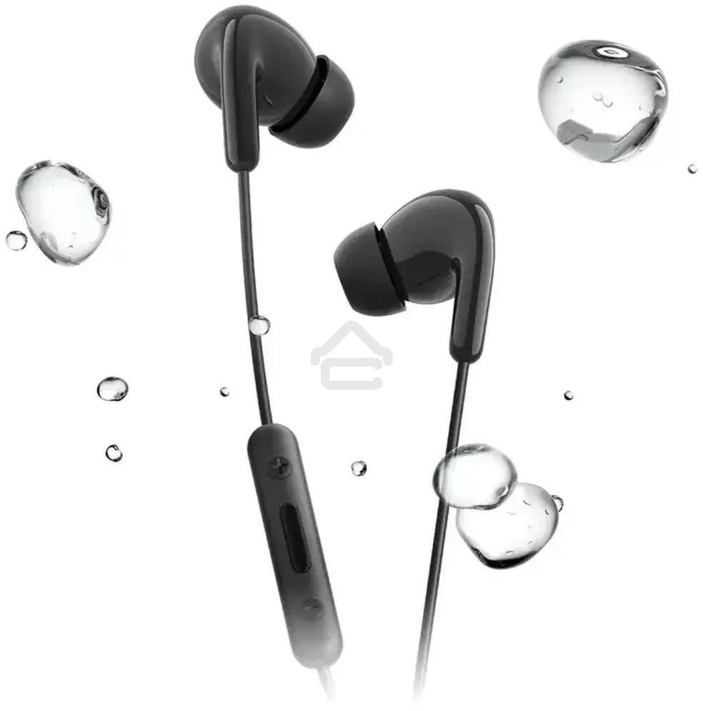 Наушники Xiaomi Type-C Earphones черный M2413E1