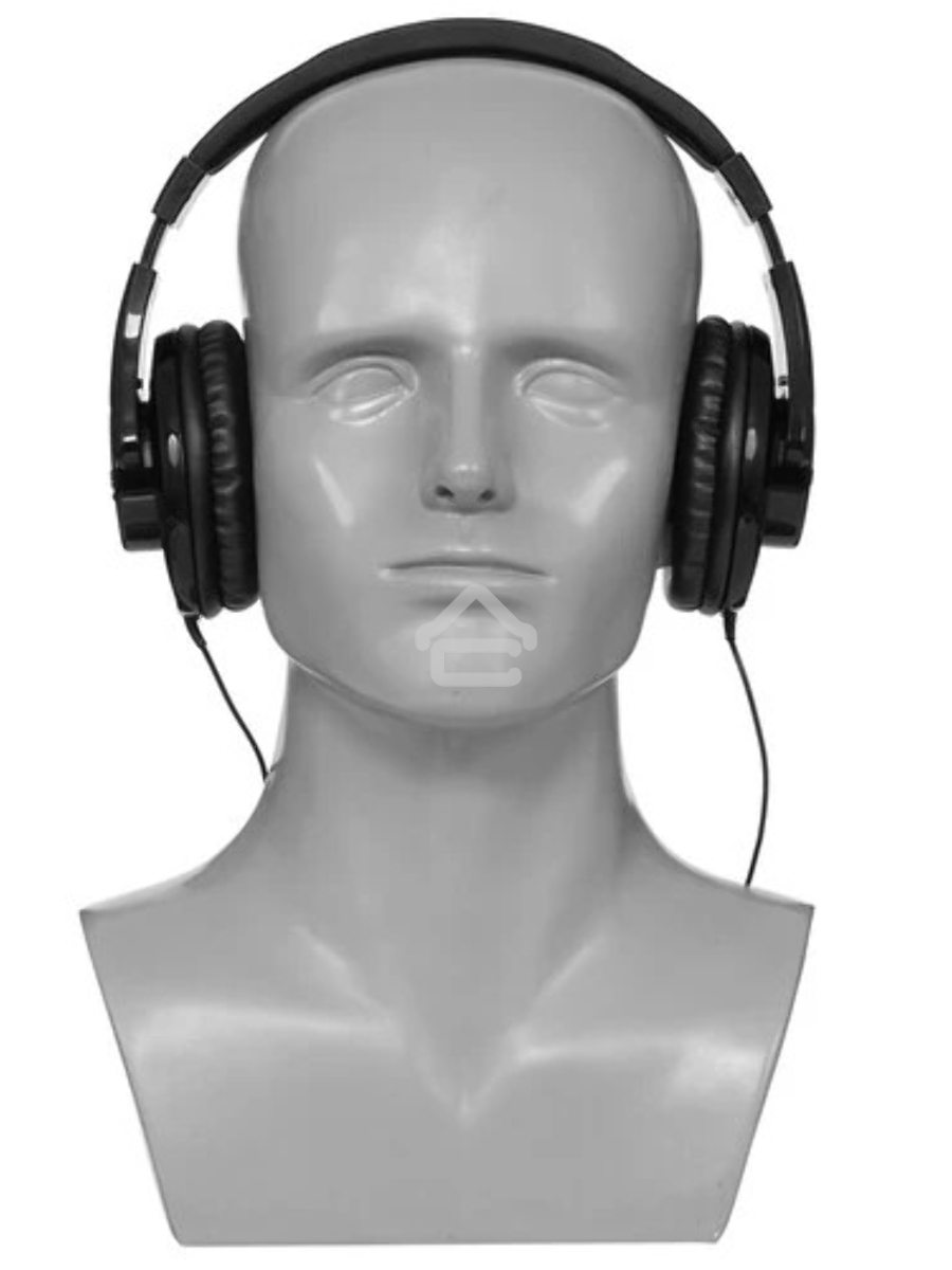 Наушники Shure SRH240A-BK-EFS черный