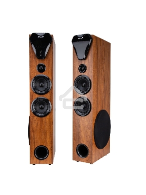 Колонка Eltronic 10