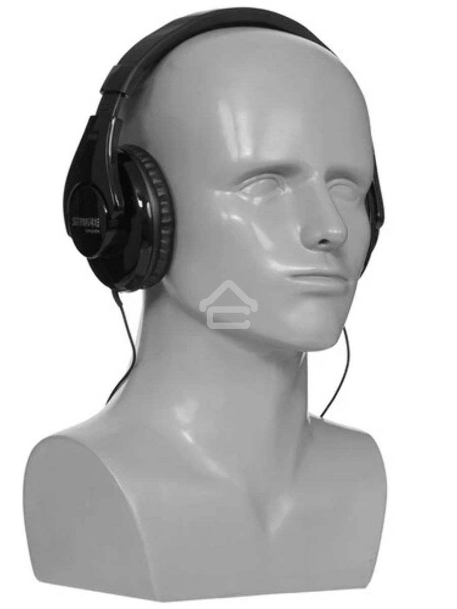 Наушники Shure SRH240A-BK-EFS черный