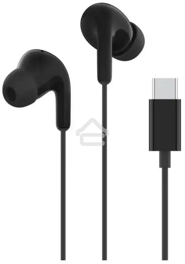Наушники Xiaomi Type-C Earphones черный M2413E1