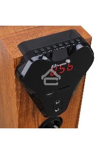 Колонка Eltronic 10