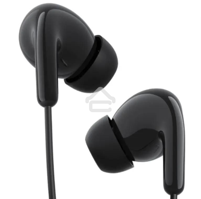 Наушники Xiaomi Type-C Earphones черный M2413E1
