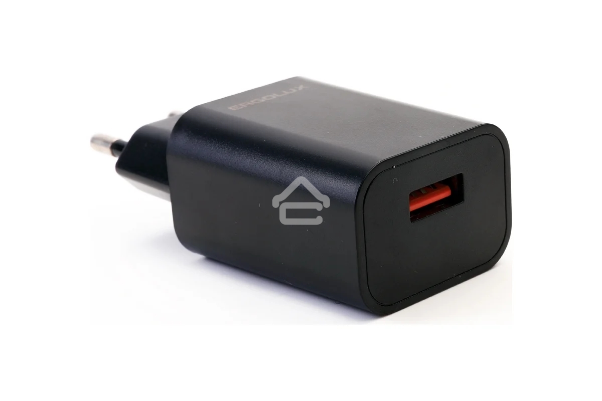 Сетевое зарядное устройство Ergolux ELX-РA01P-C02 ПРОМО 1USB 100-220В 5в/2А пакет черный