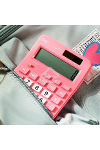 Калькулятор настольный Deli EM210FPINK розовый 12-разр.