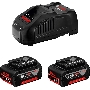 Батарея аккумуляторная Bosch 1600A00B8J 18В 5Ач Li-Ion (З/У в компл.)