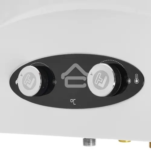 Колонка газовая Thermex G 20 D Eco белый