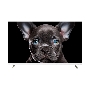 Телевизор TopDevice 43