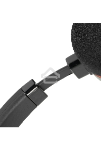 Гарнитура Jabra EVOLVE 20 MS Stereo USB