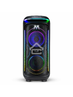 Колонка Eltronic 08