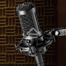 Микрофон проводной Audio-Technica AT2035 черный/черный