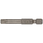 Биты WP, сталь S2, Профи, Torx 50 мм Т30, 10 шт.