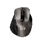 Мышь беспроводная Genius Ergo 9000S шампань титановый, 2400 dpi, радиоканал, USB, кнопки - 6