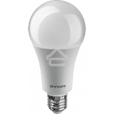 Лампа светодиодная ОНЛАЙТ 61955 OLL-A60-25-230-6.5K-E27