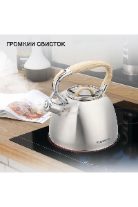 Чайник для плиты Starwind Chef Daily 2.8л, серый, металлический (SW-CH1308)
