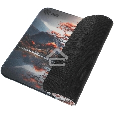 Коврик для мыши Cactus Lake 400x300x3мм (CS-MP-PRO18XL)