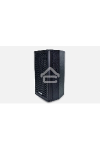 Двусторонний Динамик Полного диапазона DSPPA D6563