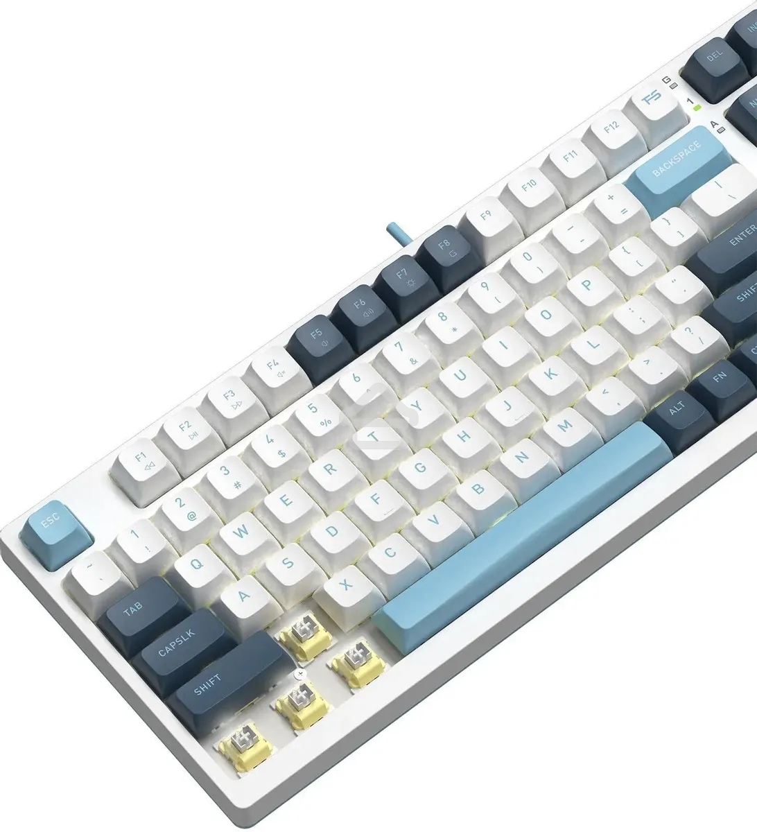 Клавиатура проводная A4Tech Fstyler FS300 (FS300 PANDA SNOWBOARDING), USB, белый/синий